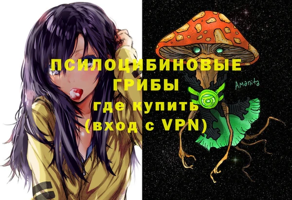 гашик Куйбышев