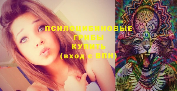 альфа пвп Краснослободск